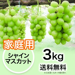 特選品】ぶどう シャインマスカット 3kg | YazawaFarm公式オンラインショップ