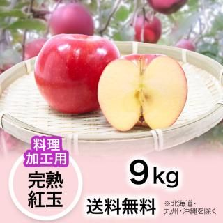 りんご シルバーふじ 2.5kg | YazawaFarm公式オンラインショップ