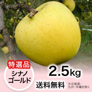 2024ǯ ʡۤ ʥΥ 2.5kg ̵(̳ƻ彣)