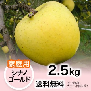 2024ǯ ڲѡۤ ʥΥ 2.5kg ̵(̳ƻ彣)