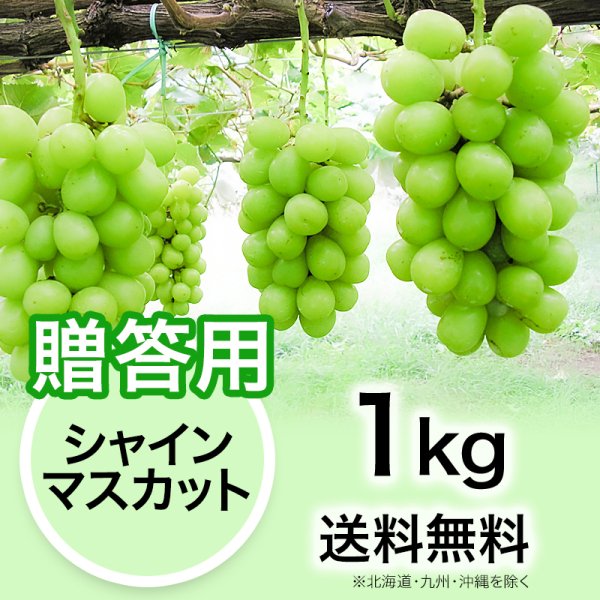 贈答用】ぶどう シャインマスカット 1kg | YazawaFarm公式オンライン