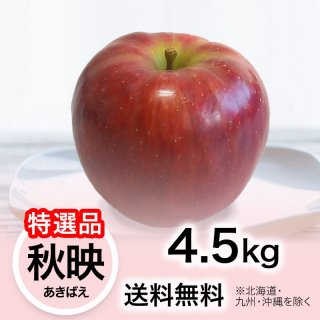 2024ǯ ʡۤ ǡʤФ 4.5kg ̵(̳ƻ彣)