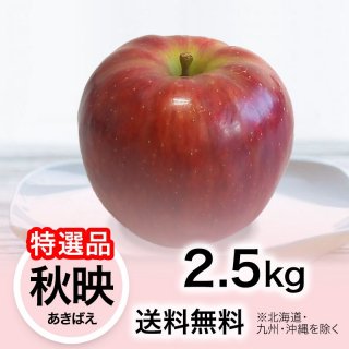 2024ǯ ʡۤ ǡʤФ 2.5kg ̵(̳ƻ彣)