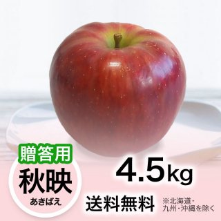 2024ǯ £ѡۤ ǡʤФ 4.5kg ̵(̳ƻ彣)