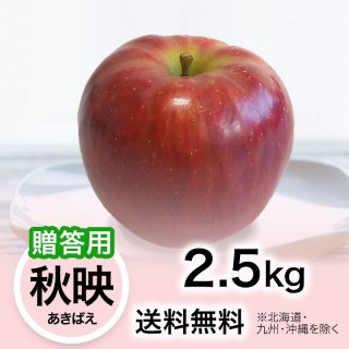 2024ǯ £ѡۤ ǡʤФ 2.5kg ̵(̳ƻ彣)