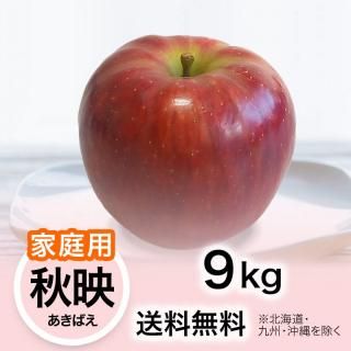 贈答用】りんご 秋映（あきばえ） 9kg | YazawaFarm公式オンラインショップ