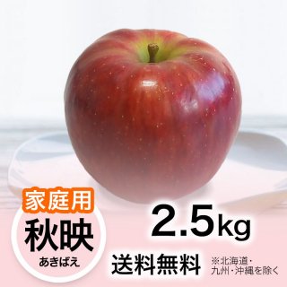 2024ǯ ڲѡۤ ǡʤФ 2.5kg ̵(̳ƻ彣)