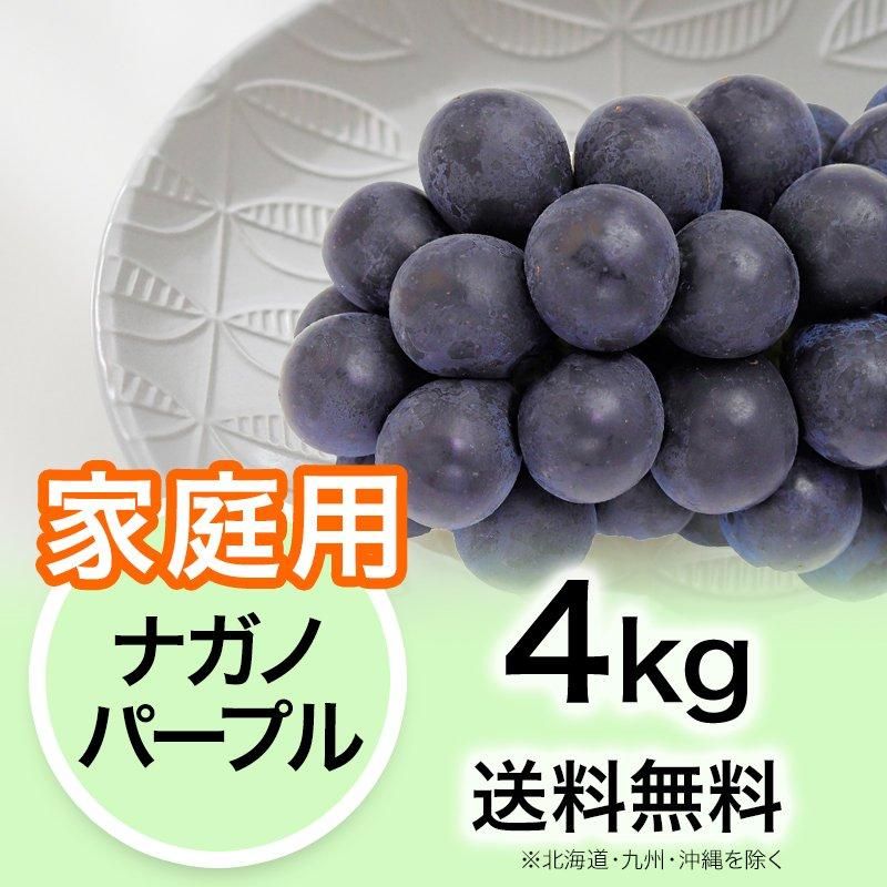 ナガノパープル　種無しぶどう　家庭用房　4kg　訳あり　お裾分け 家庭用】ぶどう ナガノパープル4kg | YazawaFarm公式オンライン