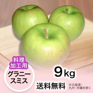 ���������ù��ѡۤ�� ����ˡ����ߥ� 9kg ������̵��(�̳�ƻ���彣����������)��