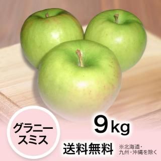 ��� ����ˡ����ߥ� 9kg ������̵��(�̳�ƻ���彣����������)��