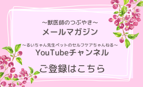 ޥYouTube