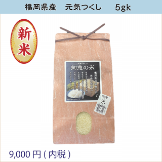 ڱζ»椪(ɳ)5kg