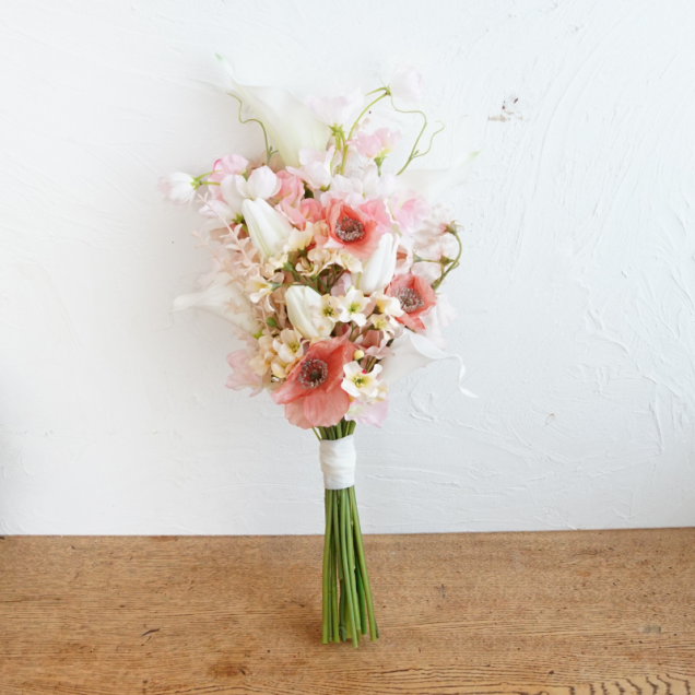 <img class='new_mark_img1' src='https://img.shop-pro.jp/img/new/icons13.gif' style='border:none;display:inline;margin:0px;padding:0px;width:auto;' />12/6()ޤǤΤʸ̵ۥݥԡȥ塼åפΥ֡