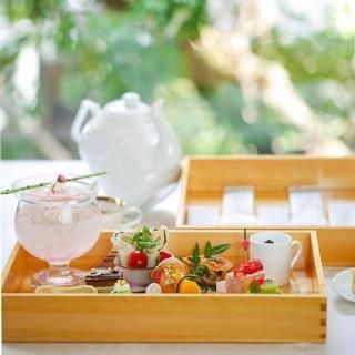 /ëۥƥ/2̾ͥե̡ƥ<img class='new_mark_img2' src='https://img.shop-pro.jp/img/new/icons5.gif' style='border:none;display:inline;margin:0px;padding:0px;width:auto;' />