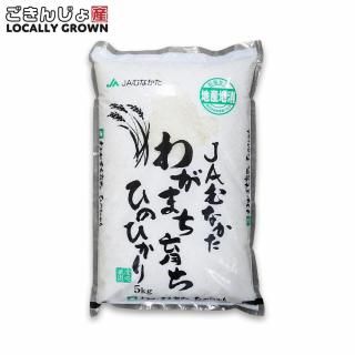 <img class='new_mark_img1' src='https://img.shop-pro.jp/img/new/icons15.gif' style='border:none;display:inline;margin:0px;padding:0px;width:auto;' />ڿơۤ郎ޤ ҤΤҤ 5kg7ǯ