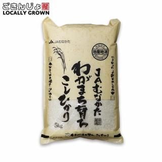 <img class='new_mark_img1' src='https://img.shop-pro.jp/img/new/icons15.gif' style='border:none;display:inline;margin:0px;padding:0px;width:auto;' />ڿơۤ郎ޤҤ5kg£ǯ