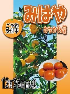 �ڼ���ͽ��ۤ�ʤ������ߤ��󣳥���or�������ʤߤϤ䡡12/26����ͽ���