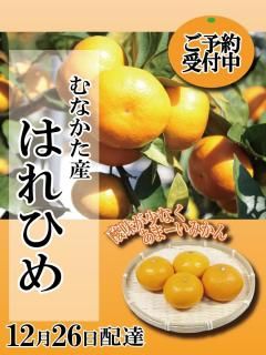 �ڼ���ͽ��ۤ�ʤ������ߤ��󣳥���or�������ʤϤ�Ҥᡡ12/26����ͽ���