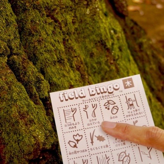 フィールドビンゴ 木カード 50枚 | 木に特化したフィールドビンゴ 