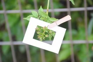 Ѵۥߥ˥ե졼10祻å