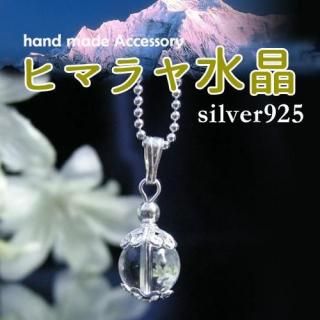 SV925 ҥޥ徽     ꥹ 徽 ڥȥȥå ŷХڥ
