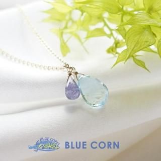 14KGF ˾ã ʹִط  ֥롼 ȥѡ 󥶥ʥ ڥȥȥå ŷХڥ