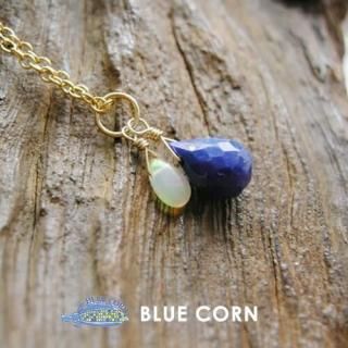 14KGF ͵ ԥ󥪥ѡ  ԥ饺  ڥȥȥå ŷХڥ