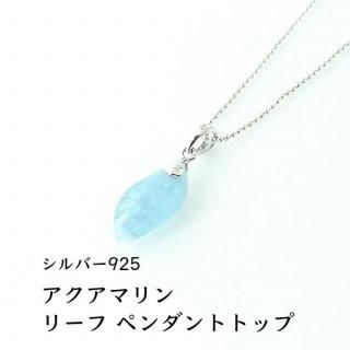 SV925 ʪ ĹȤҳΤ ޥ  ꡼ ڥȥȥå ŷХڥ