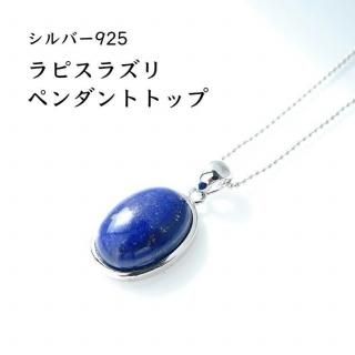 SV925 ǰƤѥȡ 򾷤 ԥ饺  ڥȥȥå ŷХڥ