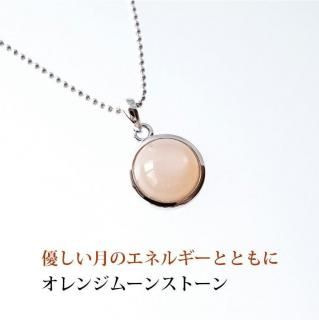 SV925 ͥΥͥ륮ʤߤߤޤ 󥸥ࡼ󥹥ȡ Υڥȥȥå ŷХڥ