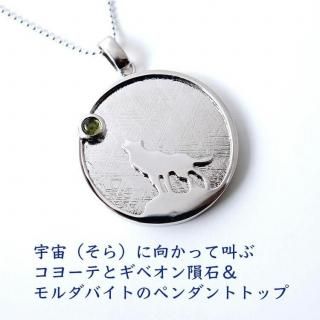 SV925 ʤˤ˸äƶ 衼Ƥ 򾷤 ٥  Х ڥ ŷХڥ
