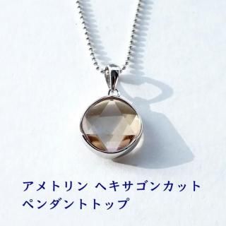 SV925  & ݥƥ֥ͥ륮 ȥ ڥȥȥå ŷХڥ