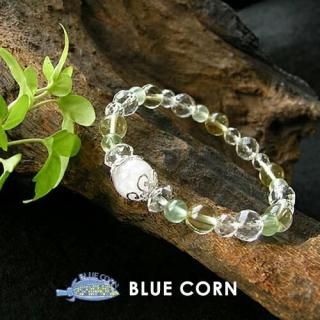 ĥ ե饤 & ץʥ  ŷХ֥쥹å