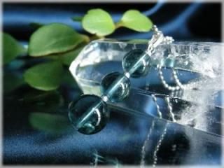 SV925 ֥롼 ե饤 ڥȥȥå    ŷХڥ