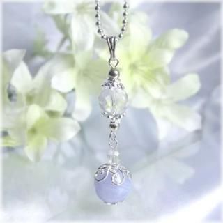 SV925 ֥롼졼 & ҥޥ徽 ֥ ڥȥȥå ŷХڥ