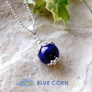 SV925 򾷤 ԥ饺 ץ ڥȥȥå ŷХڥ