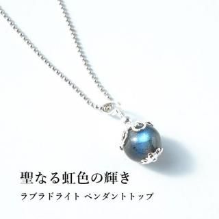 SV925 ʤε ꤤ𤨤 ֥ɥ饤 ڥȥȥå ŷХڥ