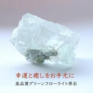 ʼ ꡼ե饤   ʪɤؤƳŷХƥꥢ 