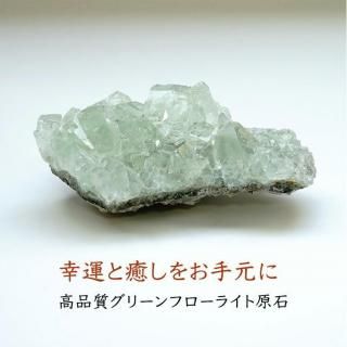 ʼ ꡼ե饤   ʪɤؤƳŷХƥꥢ 