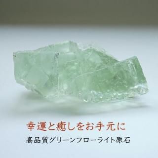 ʼ ꡼ե饤   ʪɤؤƳŷХƥꥢ 