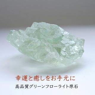 ʼ ꡼ե饤   ʪɤؤƳŷХƥꥢ 