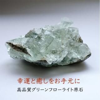 ʼ ꡼ե饤   ʪɤؤƳŷХƥꥢ 