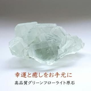 ʼ ꡼ե饤   ʪɤؤƳŷХƥꥢ 