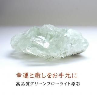 ʼ ꡼ե饤   ʪɤؤƳŷХƥꥢ 