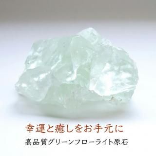 ʼ ꡼ե饤   ʪɤؤƳŷХƥꥢ 