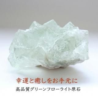 ʼ ꡼ե饤   ʪɤؤƳŷХƥꥢ 