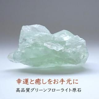 ʼ ꡼ե饤   ʪɤؤƳŷХƥꥢ 