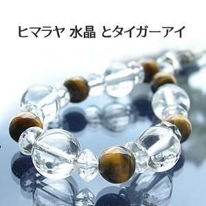  ҥޥ徽 &  ӥȥå  ۥ ŷХȥå