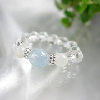 ޥ  ࡼ󥹥ȡ 徽  ڳʪ & СŷХ