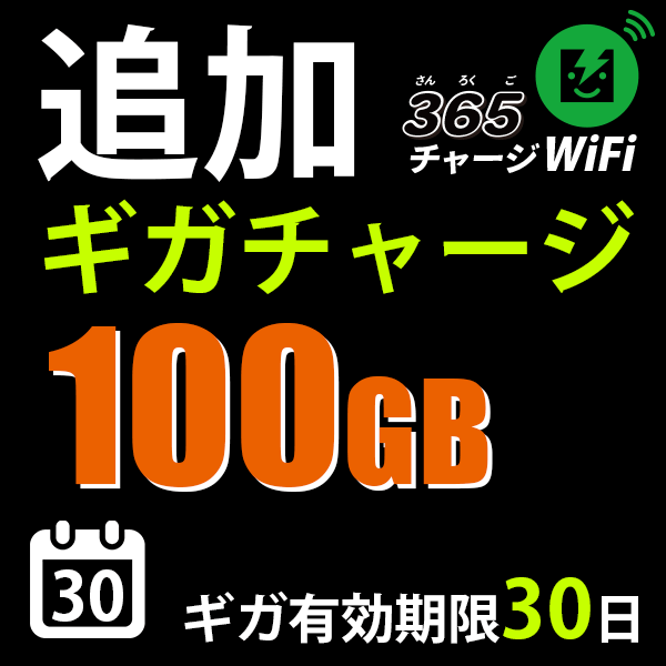 1ԡȡɲå㡼100GB/ͭ30365㡼WiFi